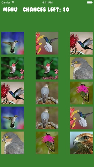 Birds Memory Puzzle(圖3)-速報App