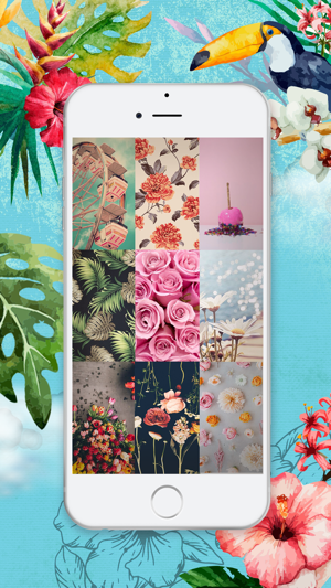高清花卉壁紙 - 有趣的鎖屏背景和盛開的花朵主題為iPhone(圖2)-速報App