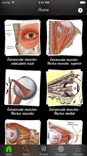 Human Muscles Info(圖4)-速報App