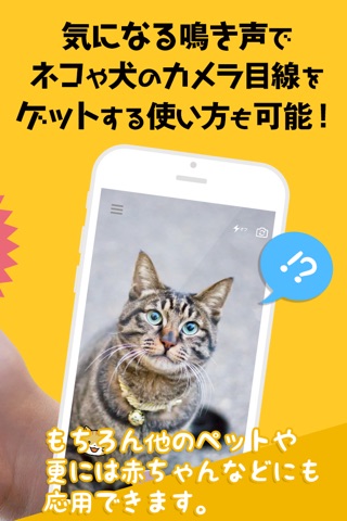 にゃんこカメラ 〜シャッター音がネコの鳴き声になるカメラアプリ screenshot 2