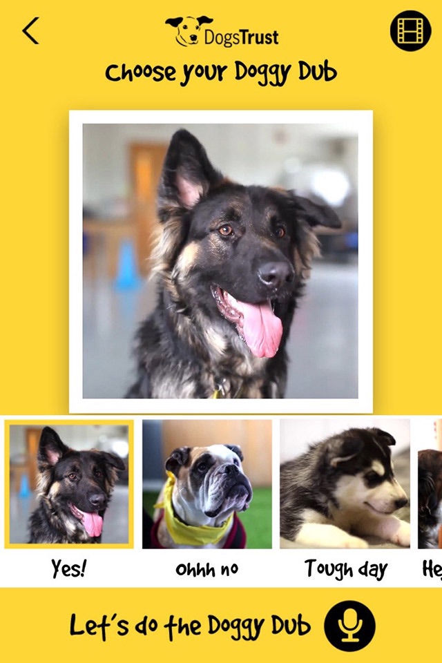 Dogs Trust Doggy Dub screenshot 2