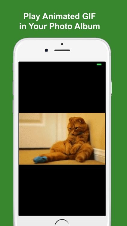 Animated GIF Viewer