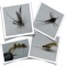 Learn to tie flies from the FreedomWild Outdoors collection