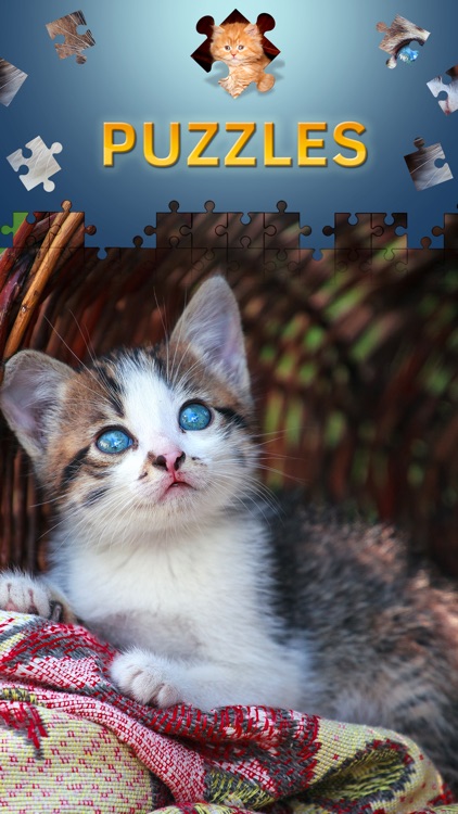 Cats Jigsaw Puzzles 2017