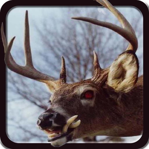 2016 Deer Hunting Simulator Pro icon