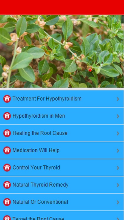 Natural Treatment For Hypothyroidism