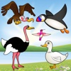 Birds Puzzles for Toddlers - Educational Puzzle Games FREE