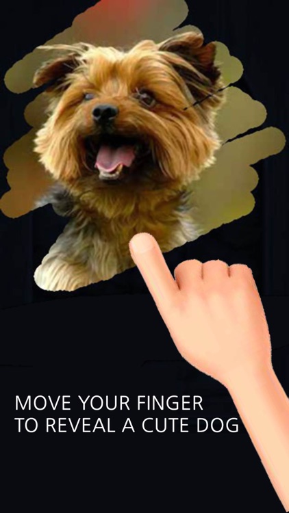 A Dog game to scratch Hidden Pics - Mini game for Kids - Playing cool breed games - animal best dogs pics