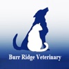 Burr Ridge Vet