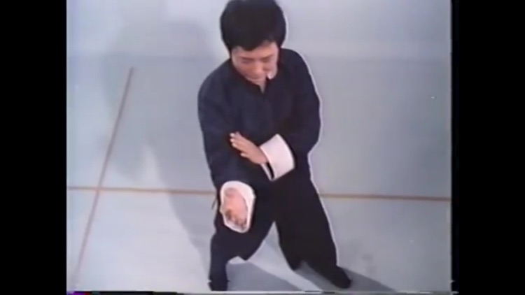 Teach Yourself Wing Chun