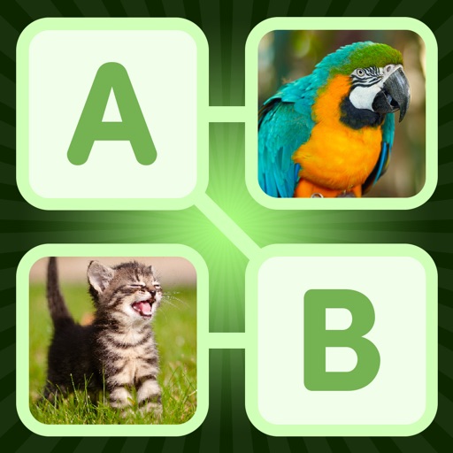 Hidden Words & Pics - Animals Edition