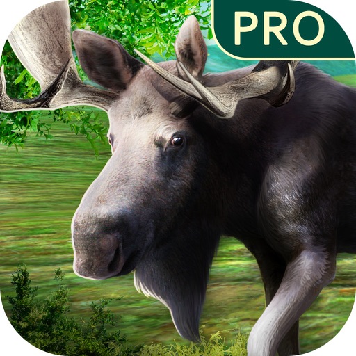 Real Hunting Pro icon