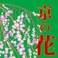 ぶらぶら京都 京都の花めぐり