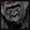 Real Wild Stray Gorilla Simulator