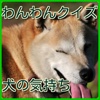 わんわんクイズ　犬の気持ち