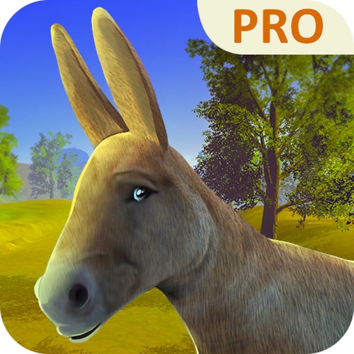 Get the Donkey Pro Icon