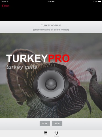 Turkey Calls - Turkey Sounds -Turkey Caller App HD screenshot 2