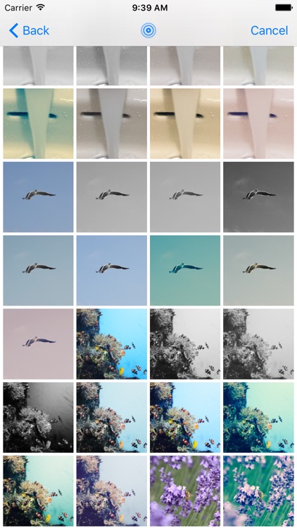 LiveCover: Photo Editor and Camera for Live Photos screenshot-3