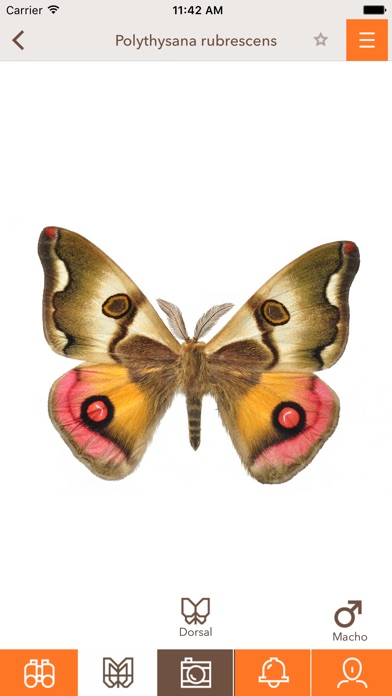 【图】Micra(截图2) 【图】Micra(截图2)