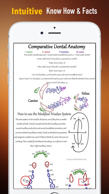 Veterinary Glossary and Cheatsheet: Study Guide and Courses