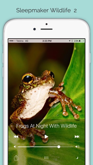 Sleepmaker Wildlife 2(圖1)-速報App