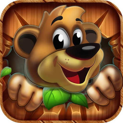 Jungle Bear Run iOS App