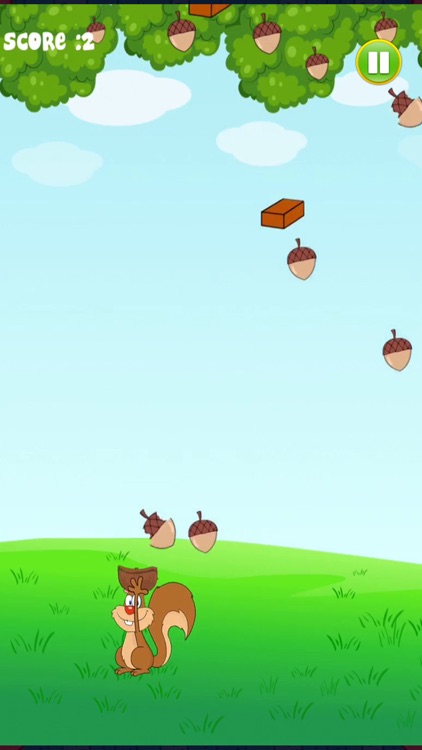 Grab the nuts – A Squirrel Quest screenshot-3