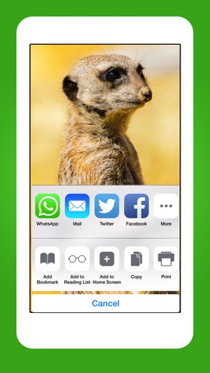 Animals - Cute Animal Wallpapers & Wild Life Backgrounds(圖5)-速報App