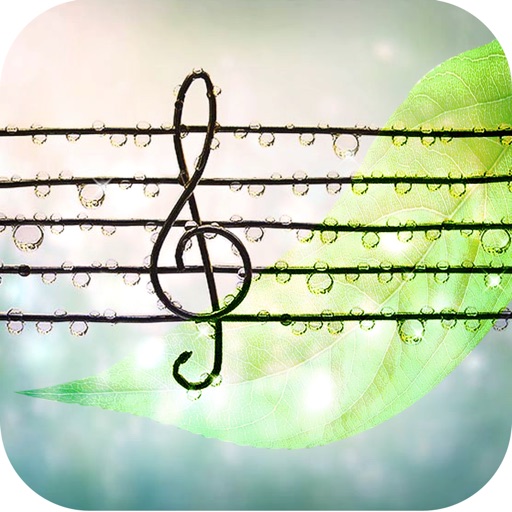 Instrumental Music (100 Tracks Included) iOS App
