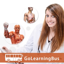 Human Body Anatomy & Strength Anatomy by GoLearningBus