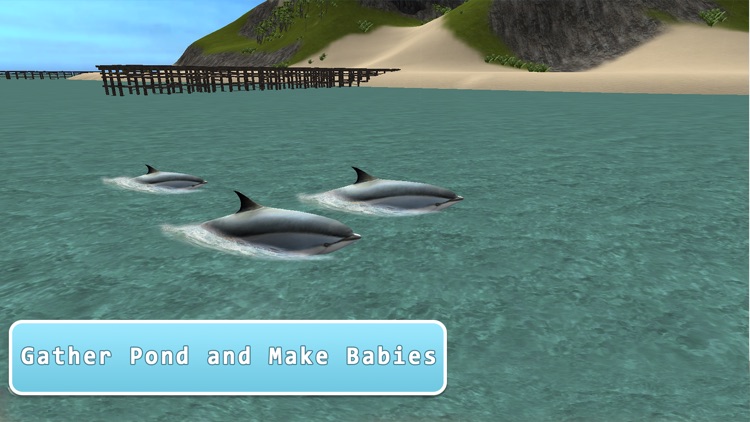 Sea Dolphin Simulator 3D Full