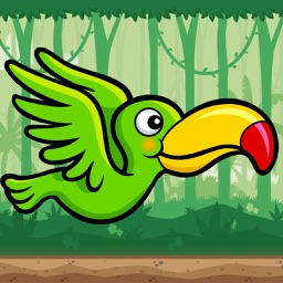 Flying Parrot Jungle Game