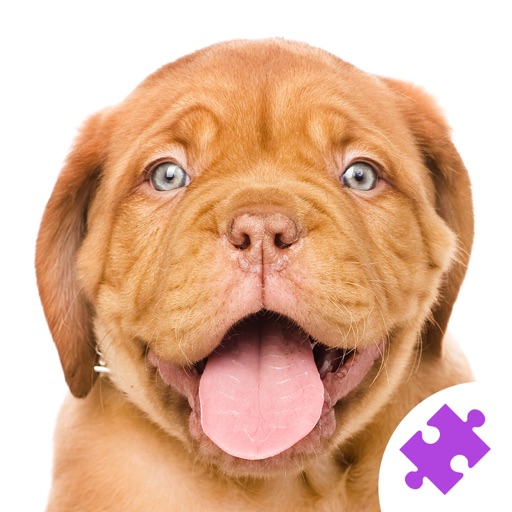 Cute Dogs & Puppies Jigsaw Puzzles : logic game for toddlers, preschool kids, little boys and girls icon