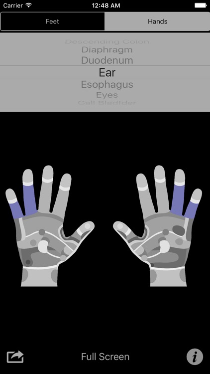 Reflexology Charts screenshot-4