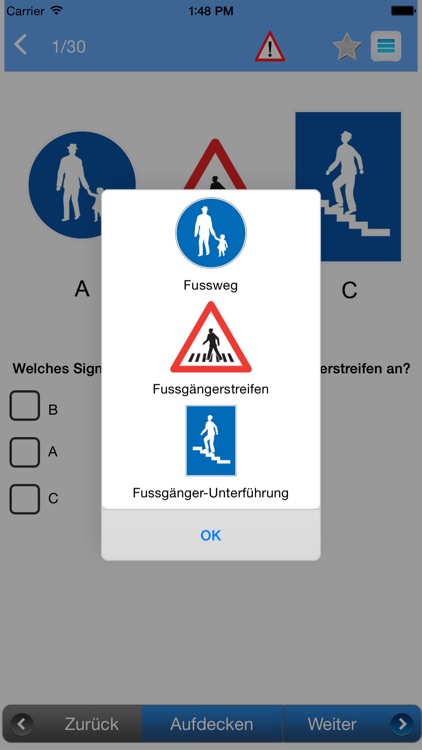 Auto Theorie - Fahrlehrer24 screenshot-3