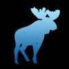 Blue Moose Vacations