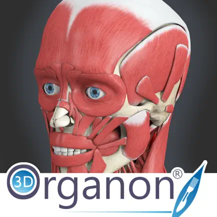 3D Organon Anatomy - Muscles, Skeleton, and Ligaments Cheats