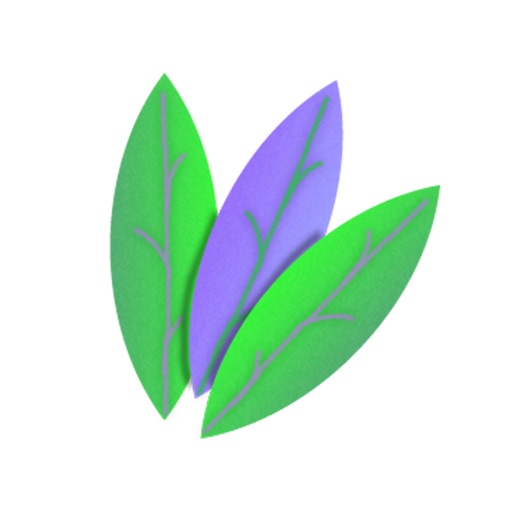 Complete Essence Massage Spa icon