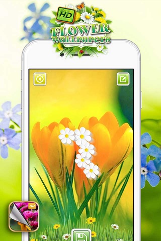HD Flower Wallpaper.s – Beautiful Floral Themes and Custom Lock Sreen Background.s screenshot 2