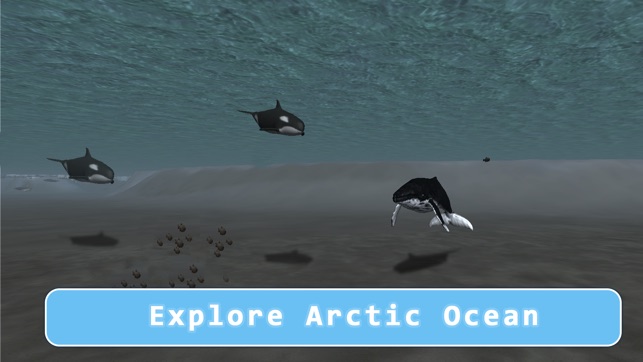 Orca Killer Whale Survival Simulator 3D - Play as orca, big (圖4)-速報App