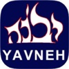 Yavneh App