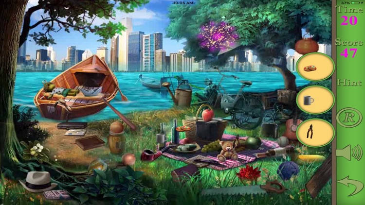 Hidden Objects Of A Deja Vu