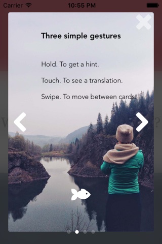 The Focus - Fastest way for memorization of foreign words screenshot 2