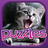 Cats Puzzle Premium