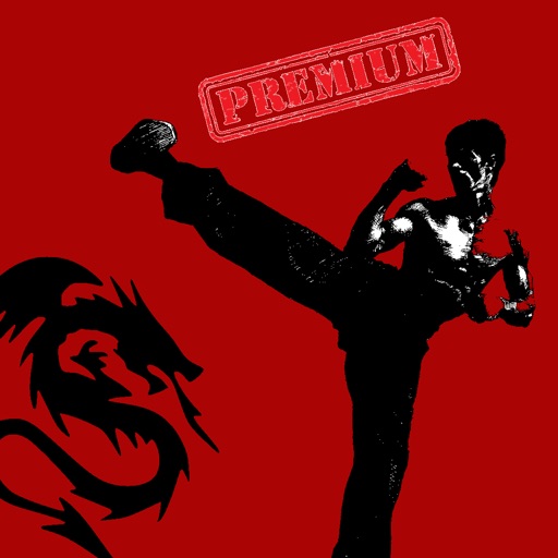 30 Min Martial Arts Workout: Fist of Fury Training Edition (Premium) icon