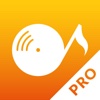 SwiRadio Pro - Radio Player & Analyzer to Visualize Your Music Stations