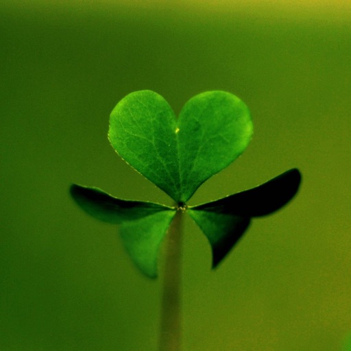 Clover Wallpapers HD: Quotes Backgrounds with Art Pictures