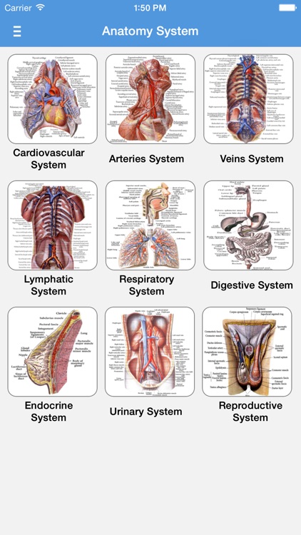 Human Anatomy 2017