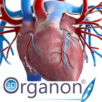 3D Organon Anatomy - Heart, Arteries, and Veins apk