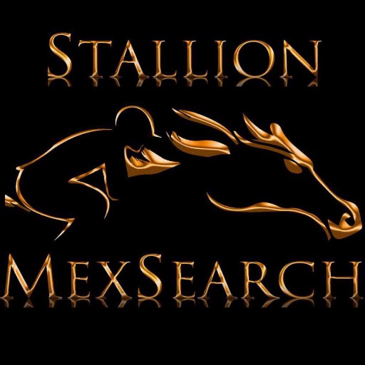 StallionMexSearch icon